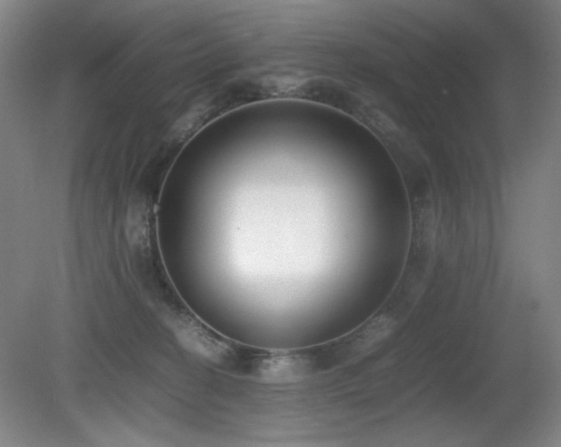 X0000080780274200612151436