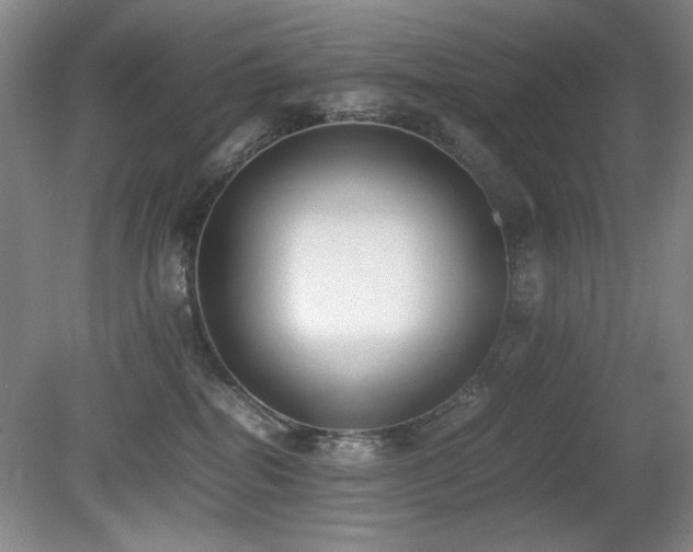 X0000080780282200612151437