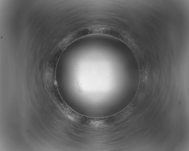 X0000080780283200612151437