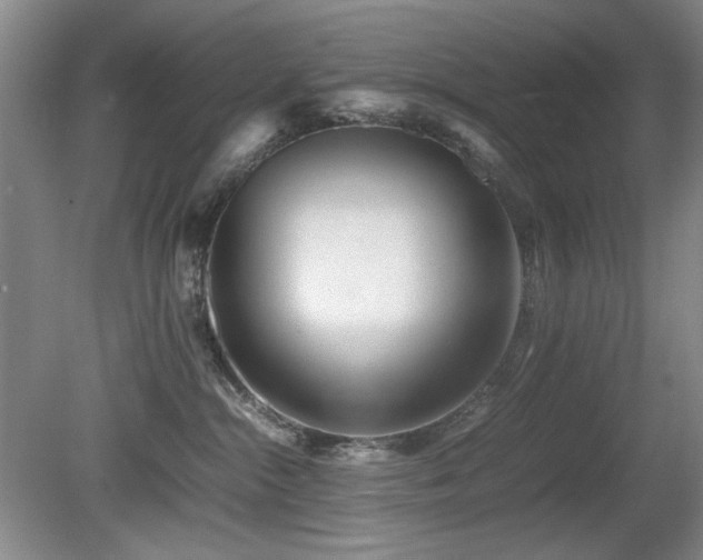 X0000080780284200612151437