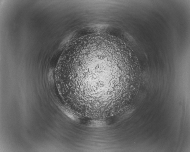 X0000080780286200612151437
