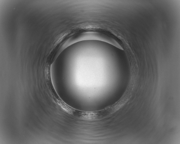 X0000080780288200612151437