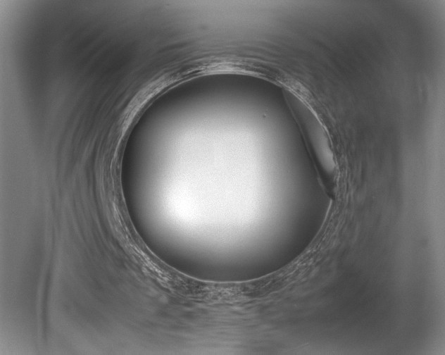 X0000080780289200612151436