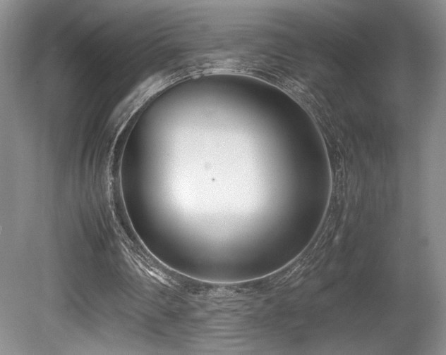 X0000080780290200612151436