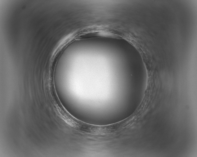 X0000080780293200612151436