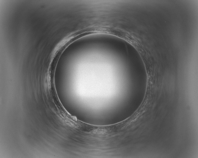 X0000080780294200612151436