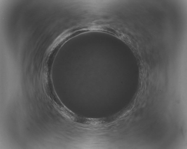 X0000080780295200612151436
