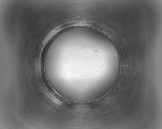 X0000080780296200612151436