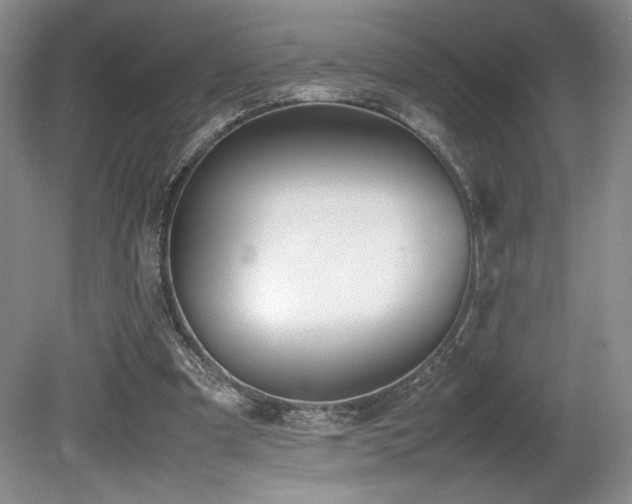 X0000080780297200612151436
