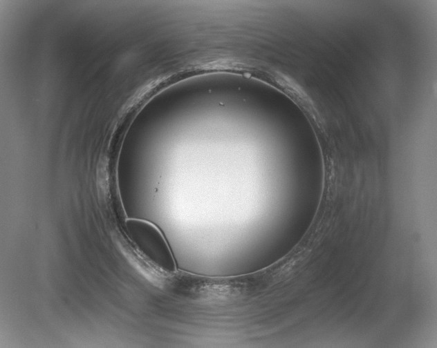 X0000080780298200612151436