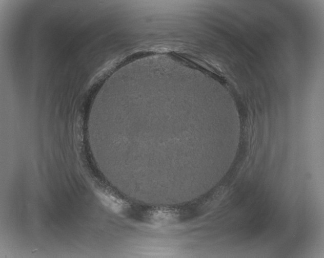 X0000080780303200612151436