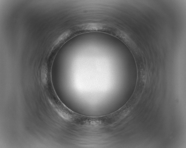 X0000080780304200612151436
