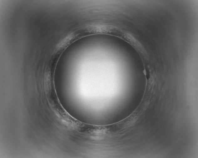 X0000080780306200612151436