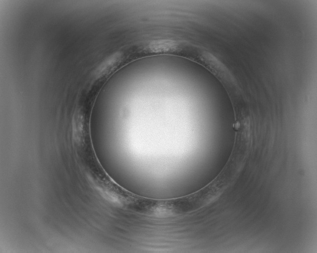 X0000080780308200612151436