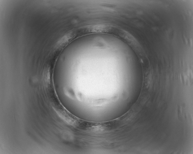 X0000080780310200612151436