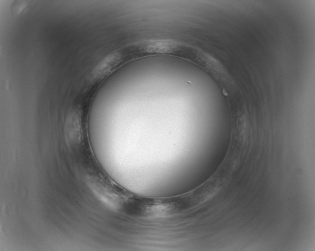 X0000080780312200612151436