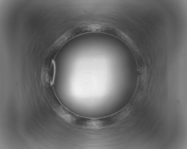 X0000080780313200612151436