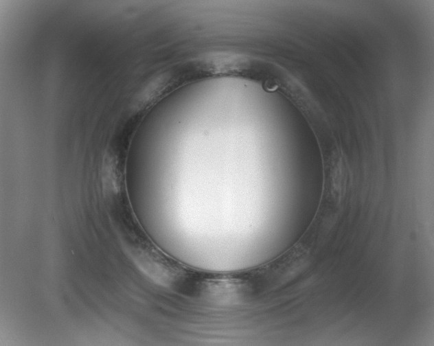 X0000080780316200612151435