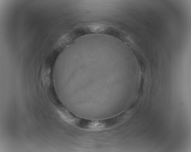 X0000080780319200612151435