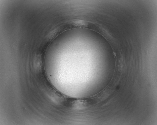 X0000080780320200612151435