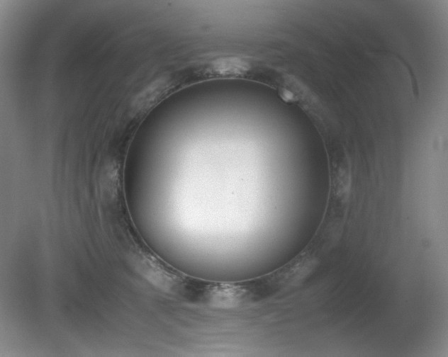 X0000080780321200612151435