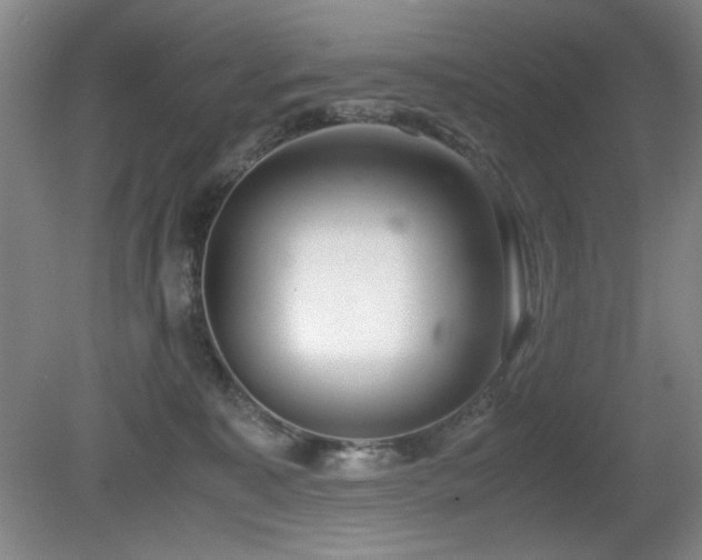 X0000080780323200612151435