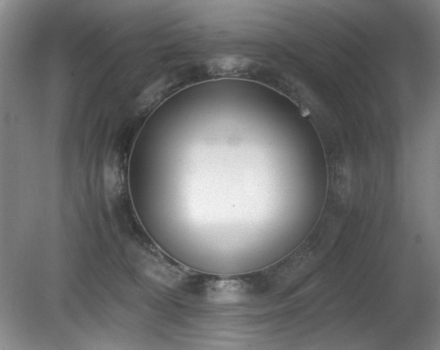 X0000080780324200612151435