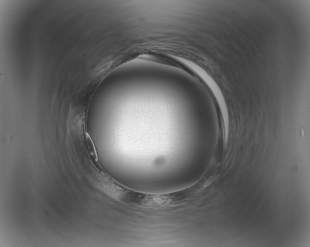 X0000080780329200612151435