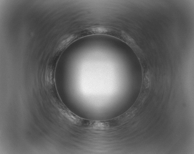 X0000080780330200612151435