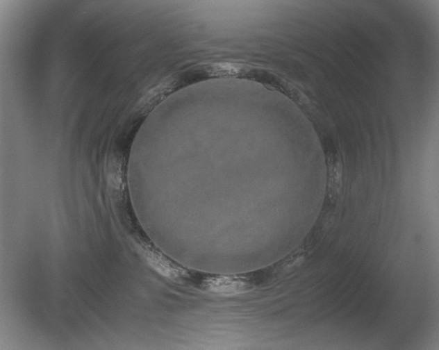 X0000080780331200612151435
