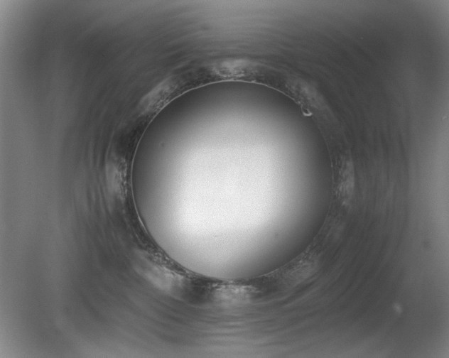 X0000080780332200612151435