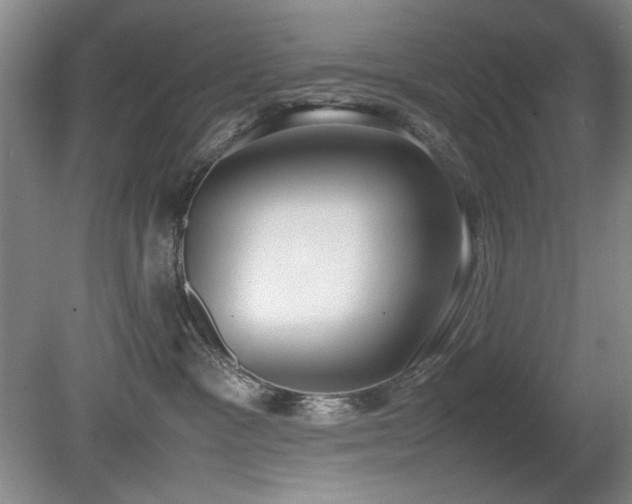 X0000080780333200612151435