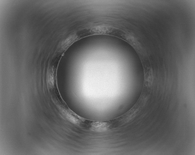 X0000080780334200612151435