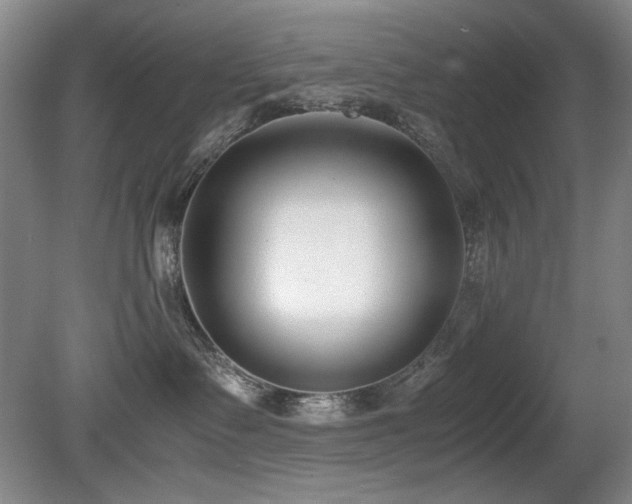 X0000080780335200612151435