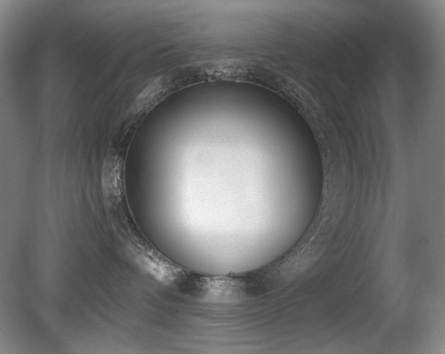 X0000080780336200612151435