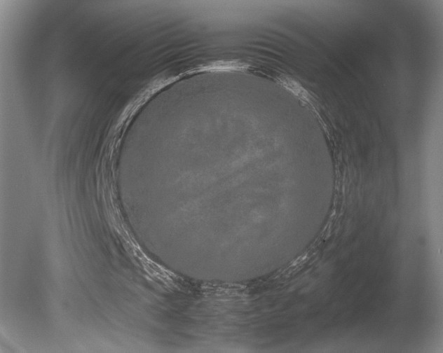 X0000080780337200612151434