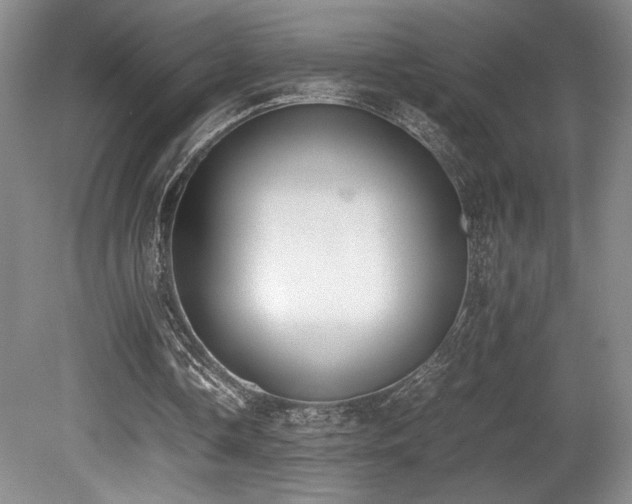 X0000080780338200612151434