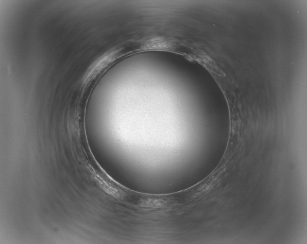 X0000080780341200612151434