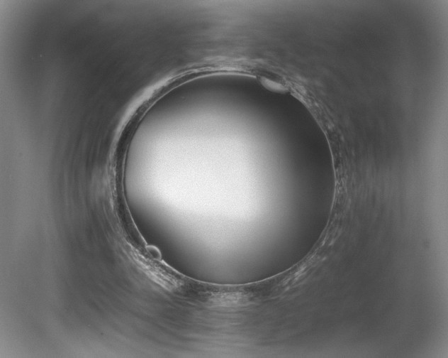 X0000080780342200612151434