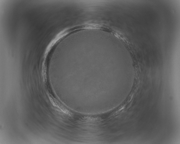 X0000080780343200612151434