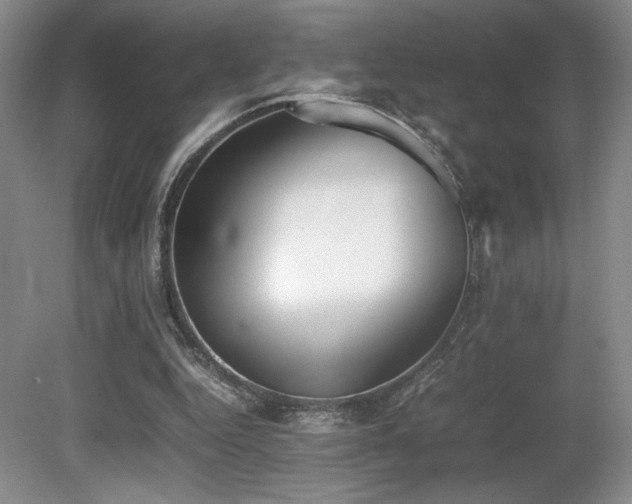 X0000080780344200612151434