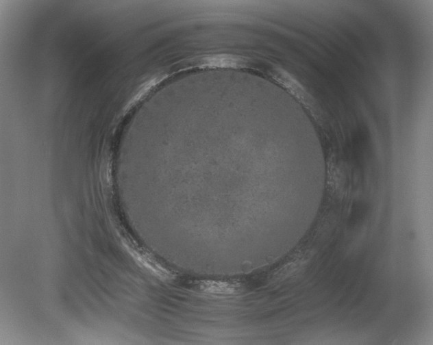X0000080780347200612151434