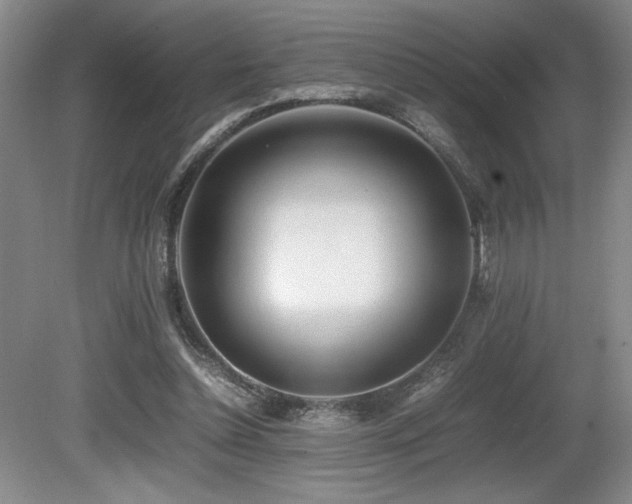 X0000080780348200612151435