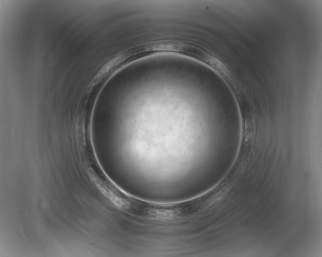 X0000080780349200612151435