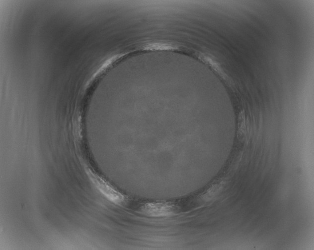X0000080780351200612151435