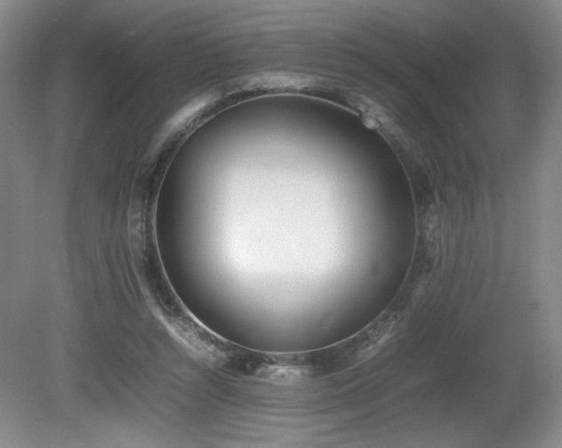X0000080780352200612151435