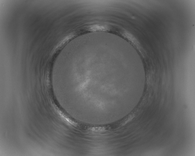 X0000080780353200612151435