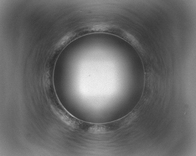 X0000080780354200612151435