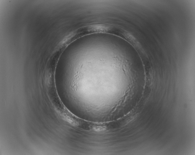 X0000080780355200612151435