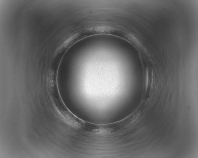 X0000080780356200612151435
